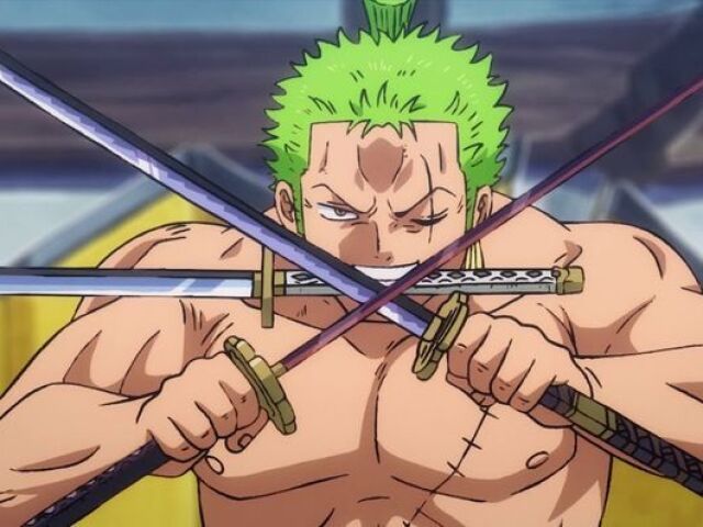 Você é o Zoro