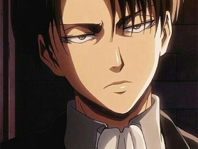 Levi