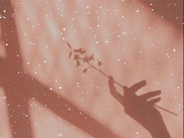 ~✨💗um máximo💗✨~