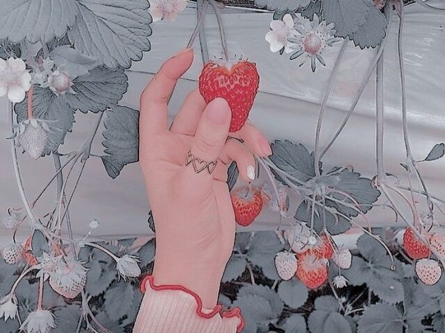 ~✨💗tudooo💗✨~