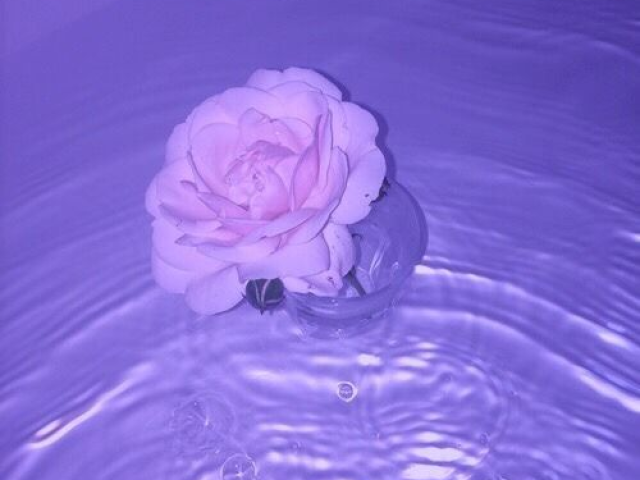 ~✨💗maravilinda💗✨~