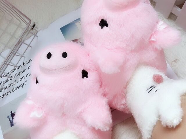 ๐ท๐ฝ