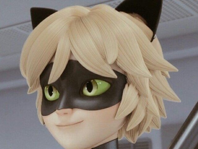 Cat Noir