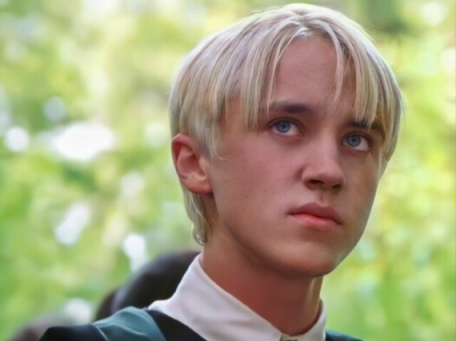 Draco (Sorry fandom do Draco esqueci de colocar ele lá nos personagens possiveis de ser kk)