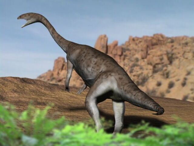 Prosauropoda