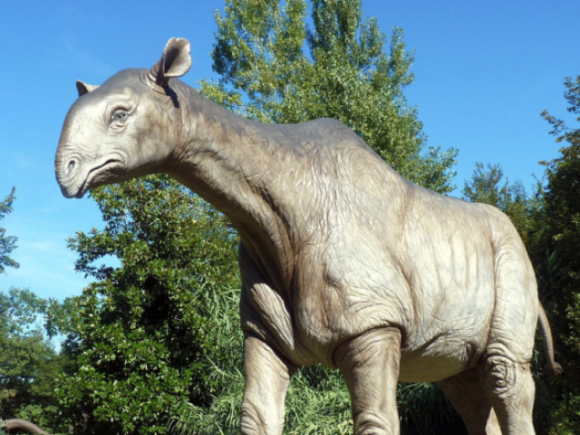 Paraceratherium