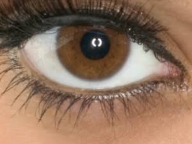 Castanho