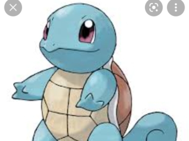 Squirtle