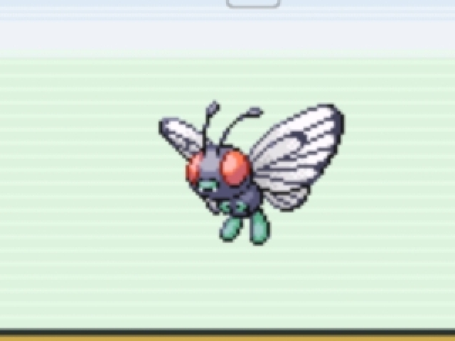 Butterfree