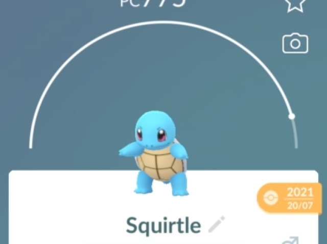 Squirtle