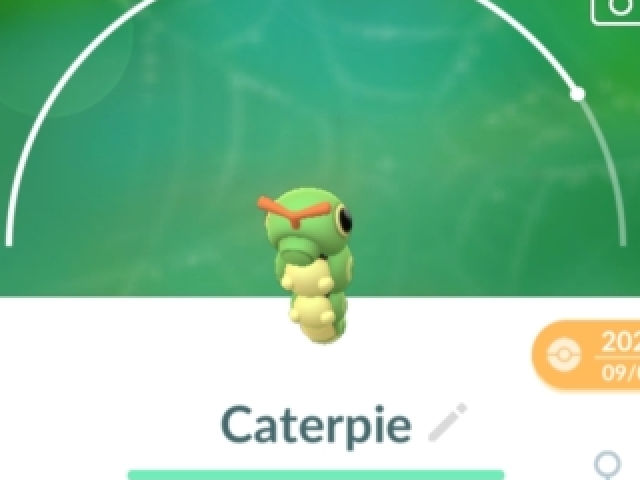 Caterpie