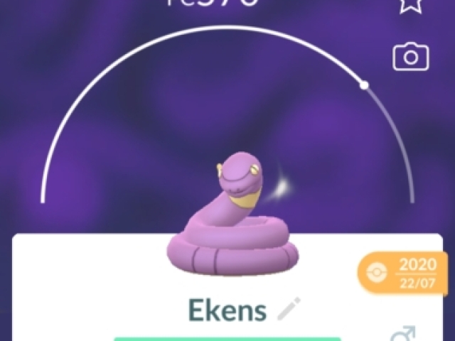 Ekans