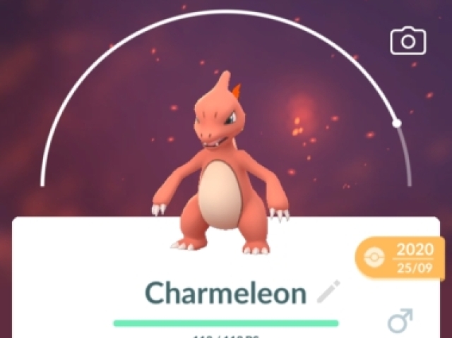 Charmeleon meu inicial