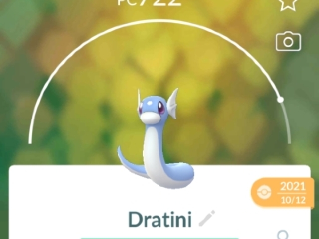 Dratini