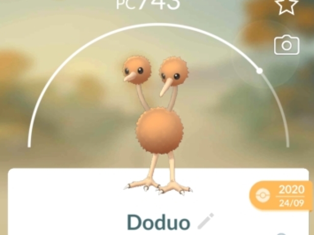 Doduo