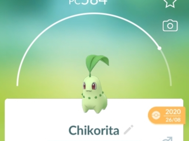 Chikorita