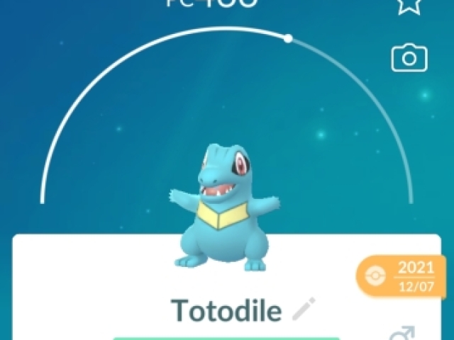 Totodile