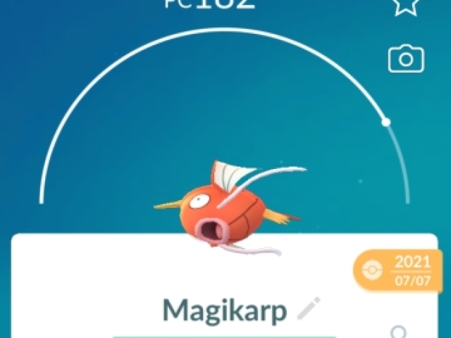 Magikarp