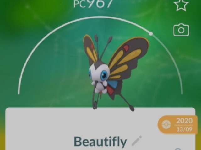 Beautifly