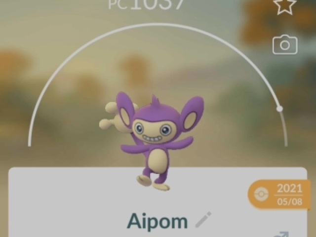 Aipom