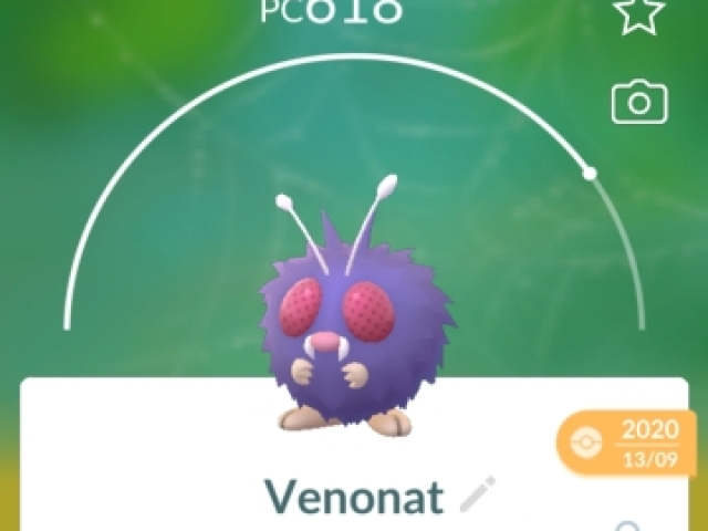 Venonat