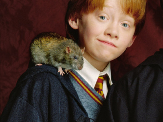 Ron Weasley