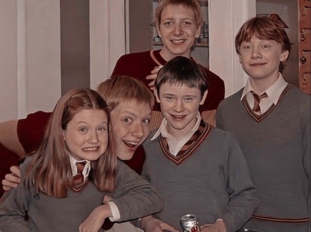 Qual seria sua casa em Harry Potter?
