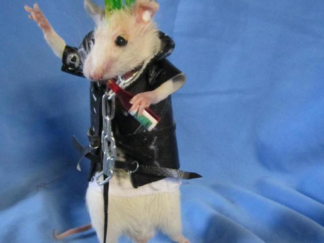 rato punk