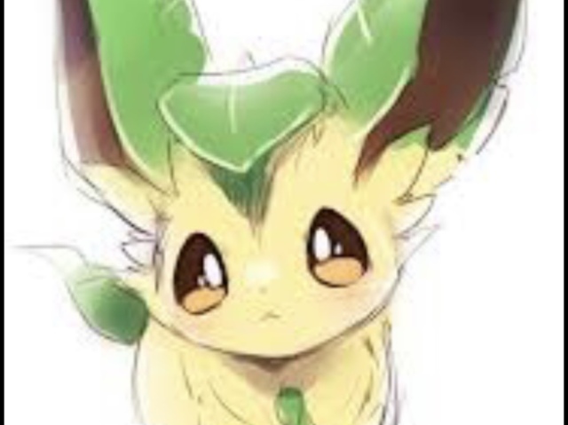 Você é o Leafeon!!!