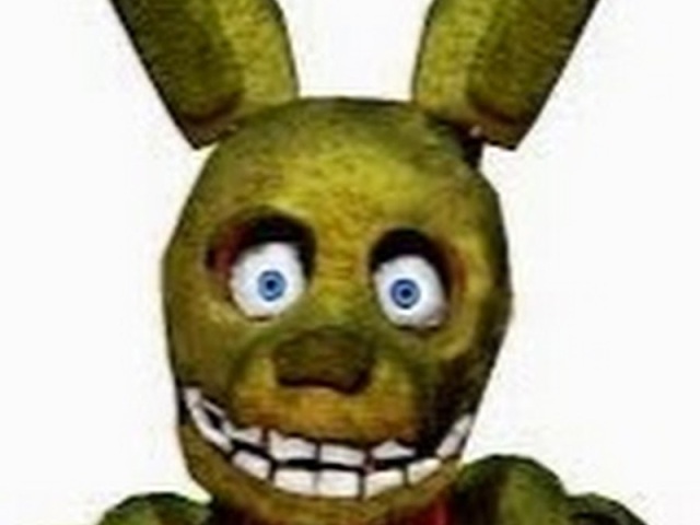 Spring Bonnie