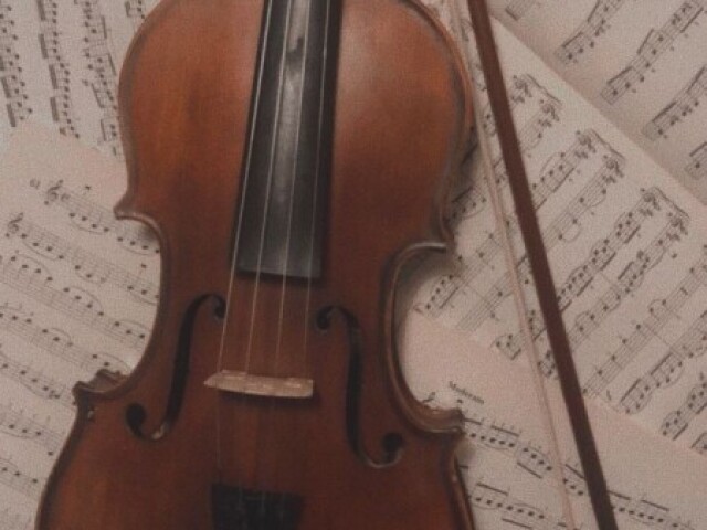 Violino