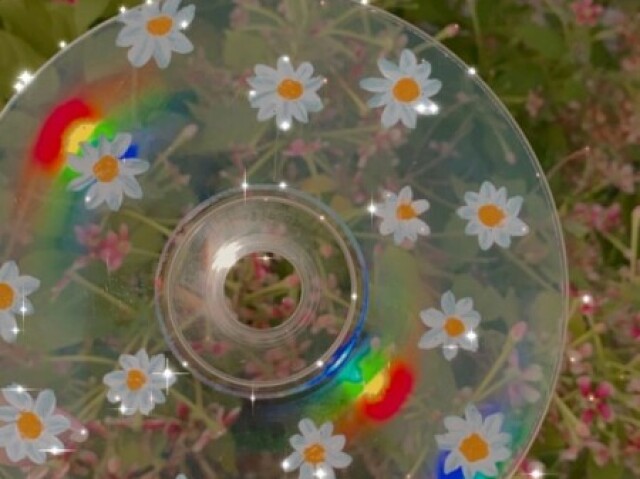 Cd painting