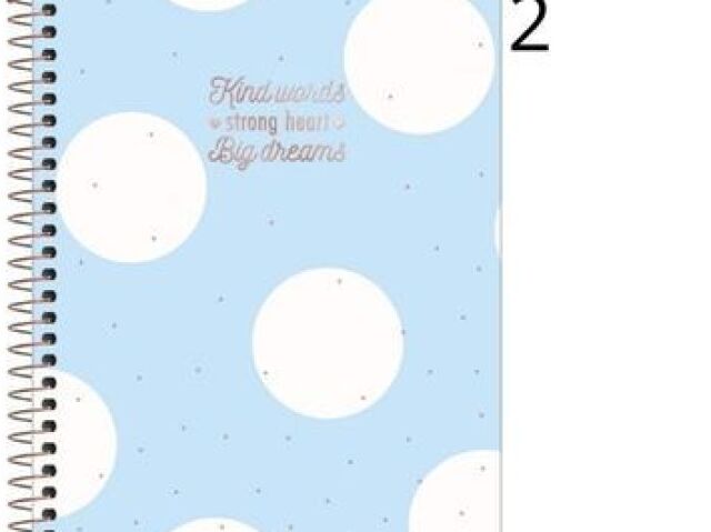 Caderno 10 materias