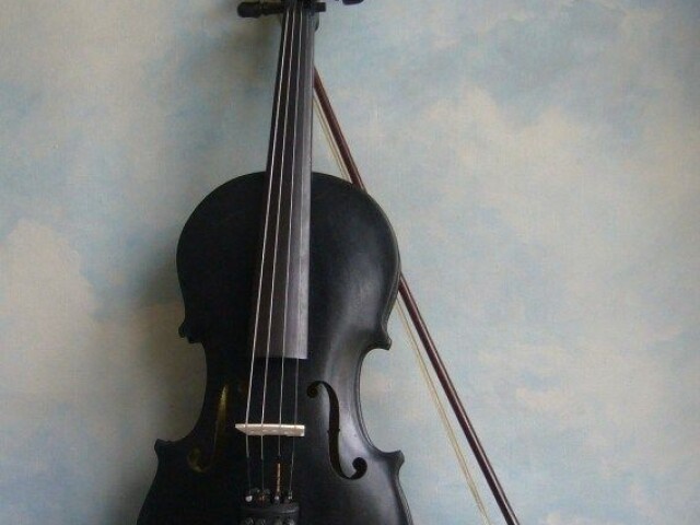 ~ violino ~