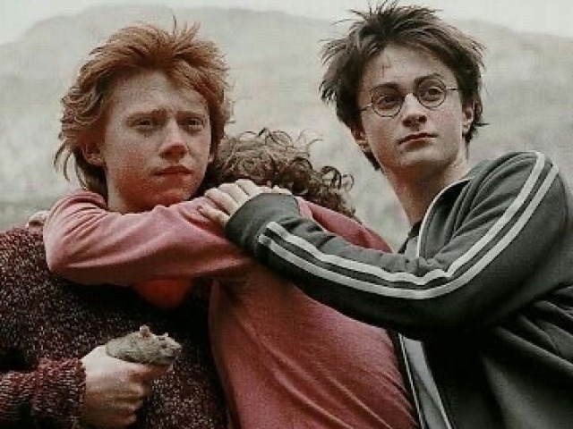 Harry Potter e Ron Weasley