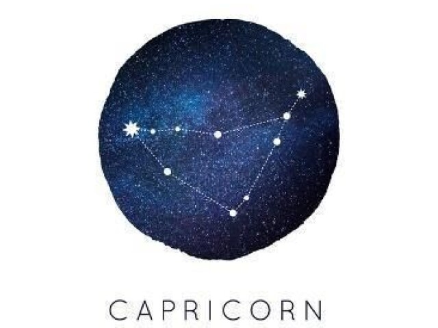 Capricórnio ♑