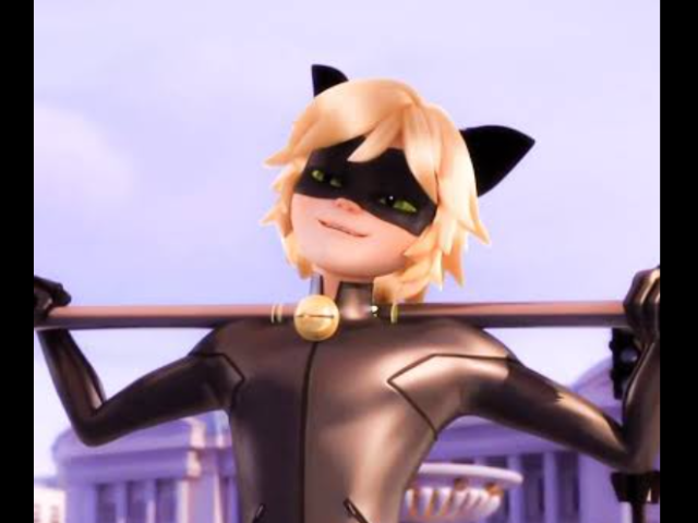 Cat noir