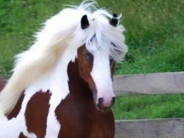Andar de cavalo