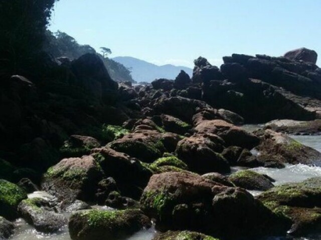 Na costa de uma praia,sozinho apenas com as pedras.