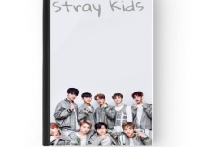 Stray kids