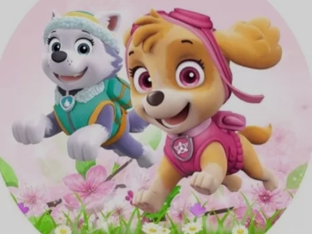 CACHORROS COM APARÊNCIAS HUMANÓIDES