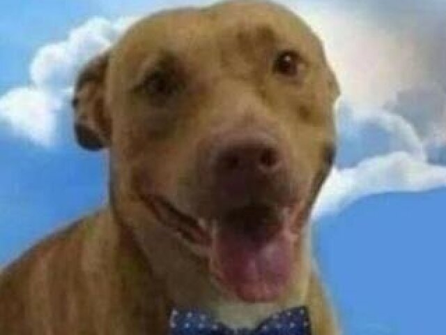 FELIZ