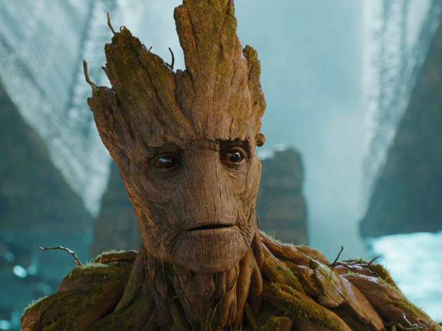Groot