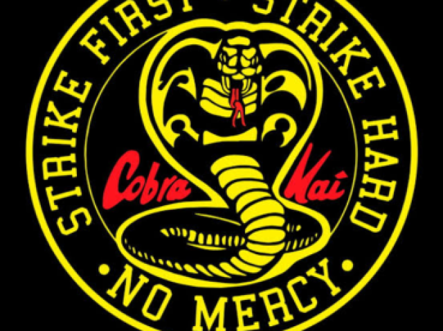 Karatê acerte primeiro acerte firme sem compaixão Cobra Kai