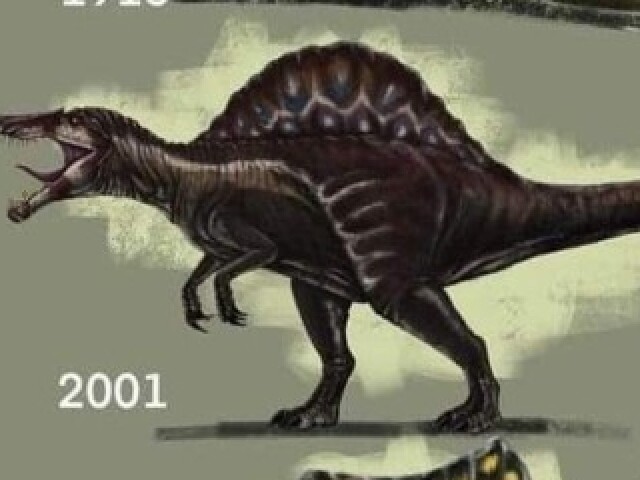 Spino