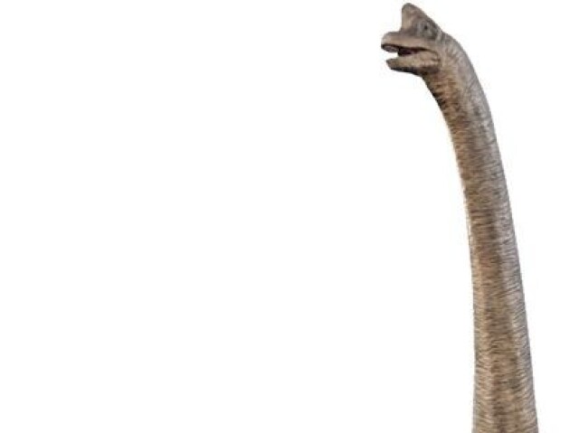 Brachiosaurus