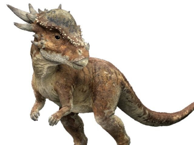 Dracorex