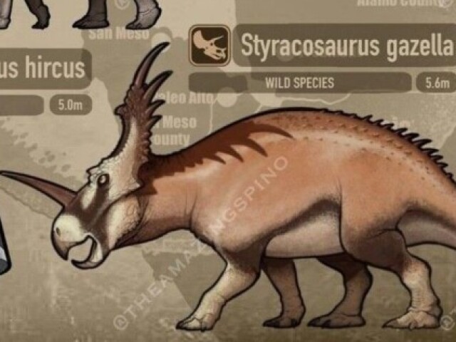 Styracosauros