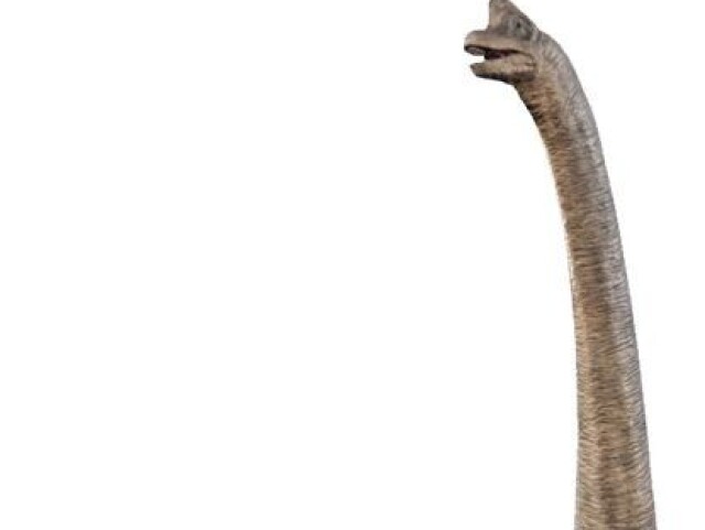 Brachiosaurus