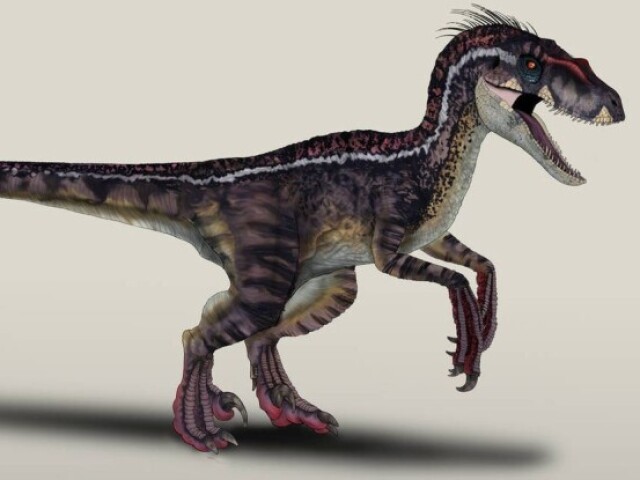 Utarraptor